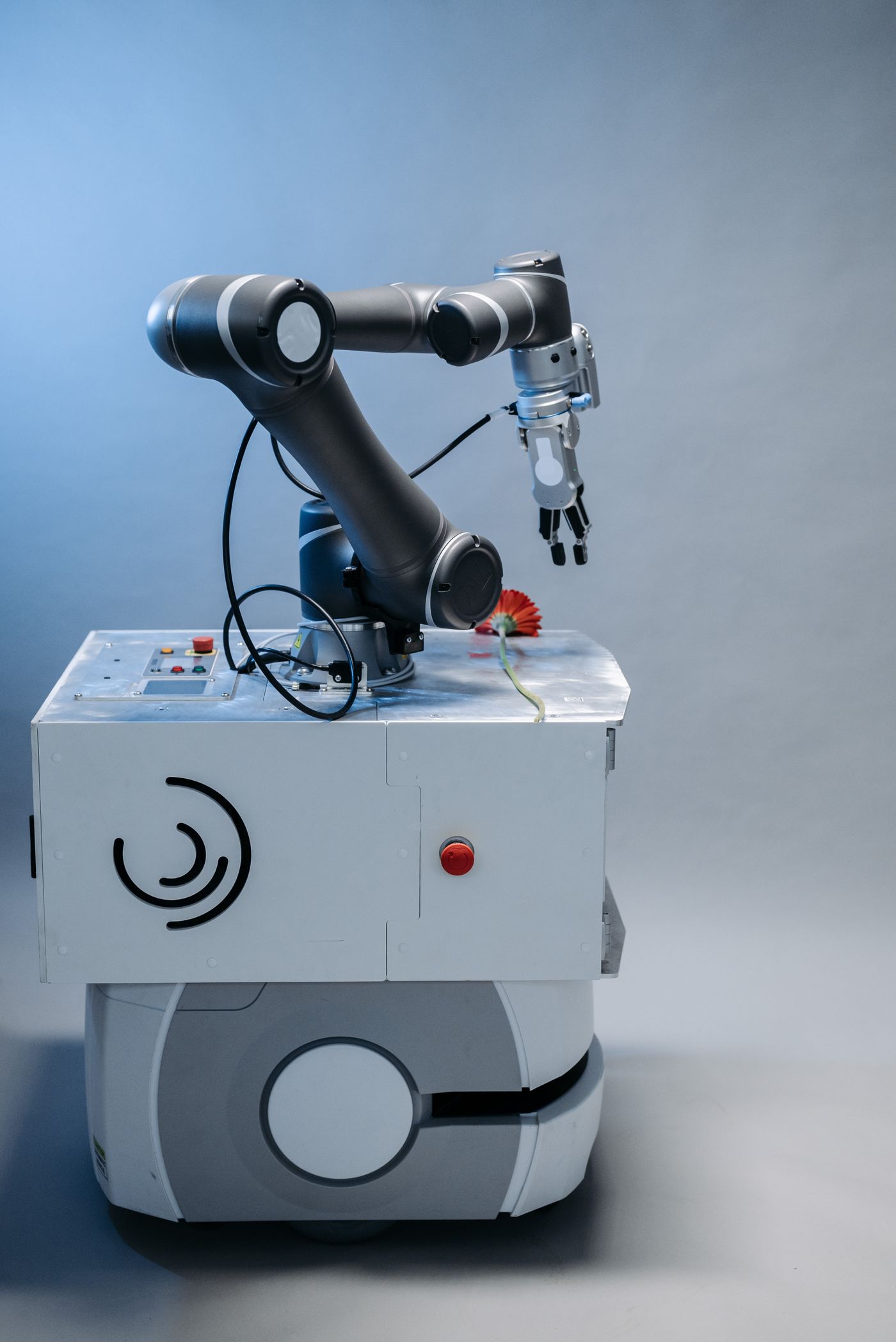 Palletizing robot in food and beverage plant